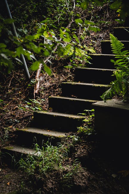 A set of outdoor wooden stairs with several steps leading uphill amid a natural environment, surrounded by dense green foliage, fern leaves, and small plants. The stairs appear weathered and are partially covered by dirt and vegetation, with some steps showing signs of moss growth. To the left, a metal handrail is partially visible, supporting the pathway through the wooded area. This image depicts a challenging access point that may require careful planning for home relocation or furniture transport, especially when moving bulky items. The natural lighting suggests an overcast day or shaded setting, highlighting the texture and details of the greenery and wooden steps. Man with Van Yiewsley’s services would typically address such terrain constraints during house removals involving properties with uneven or difficult access routes, ensuring safe and efficient loading and unloading processes in relocation tasks.